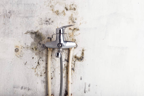 Westhaven Moonstone, CA Mold Removal Company