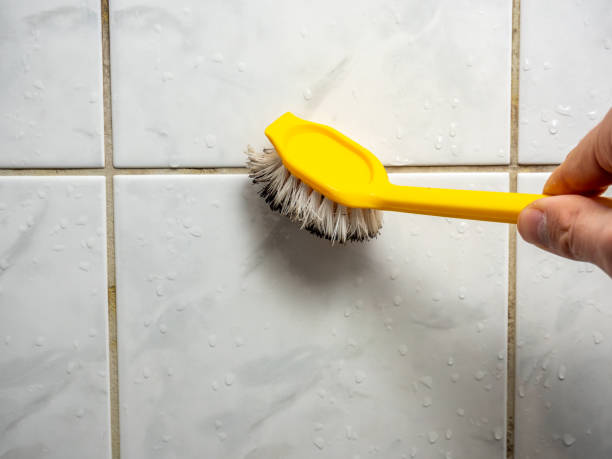Best Local Mold Removal Service  in Westhaven Moonstone, CA