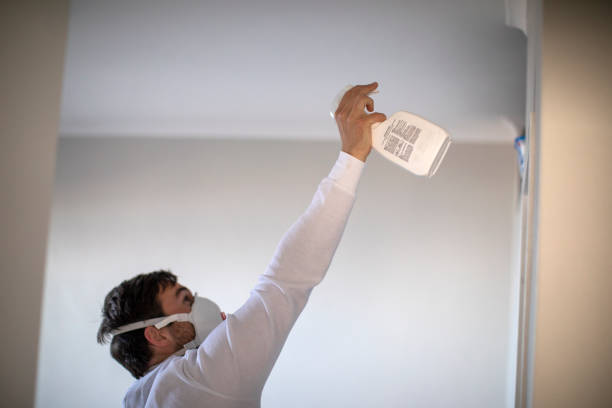 Best Mold Removal Near Me  in Westhaven Moonstone, CA