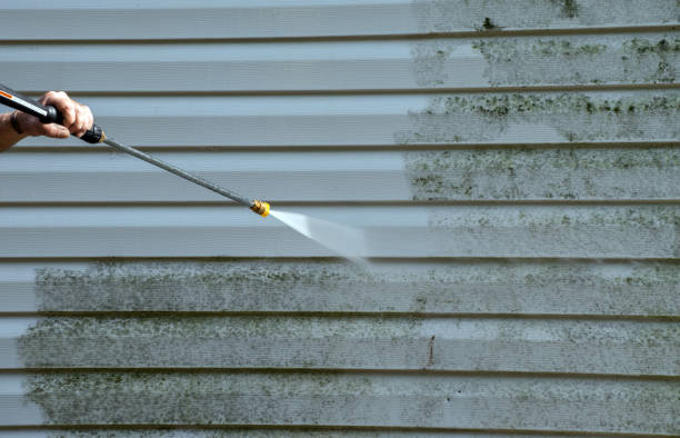 Best Certified Mold Removal  in Westhaven Moonstone, CA
