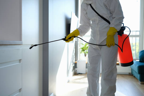 Best Mold Damage Repair  in Westhaven Moonstone, CA