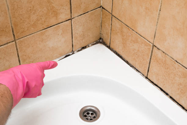 Best Office Mold Removal Services  in Westhaven Moonstone, CA